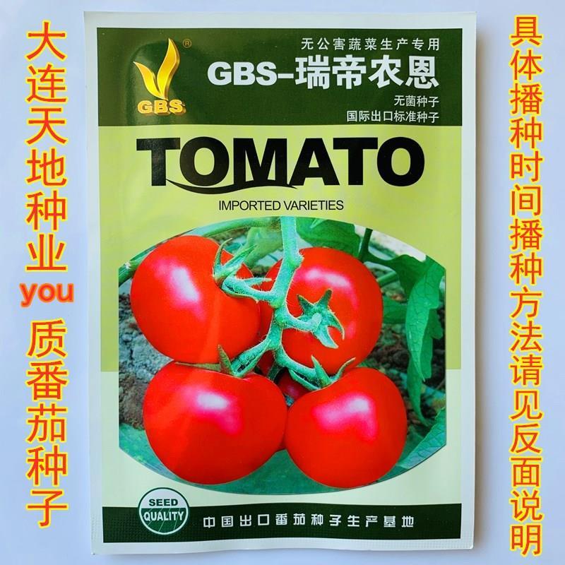 番茄种籽种子瑞帝农恩万柿如意无菌无公害西红柿种子四季蔬菜种孑