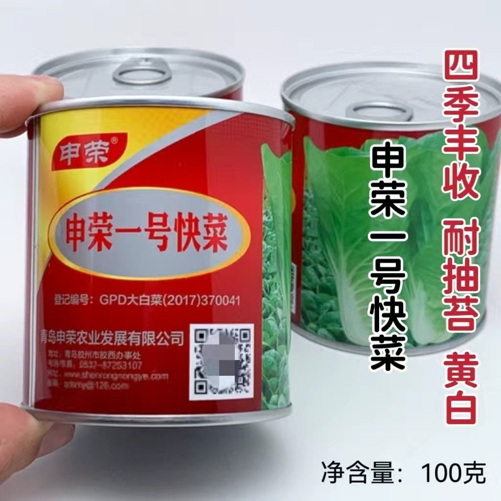 申荣一号快菜种子四季蔬菜种籽早熟小白菜种子基地专用菜籽无茸毛