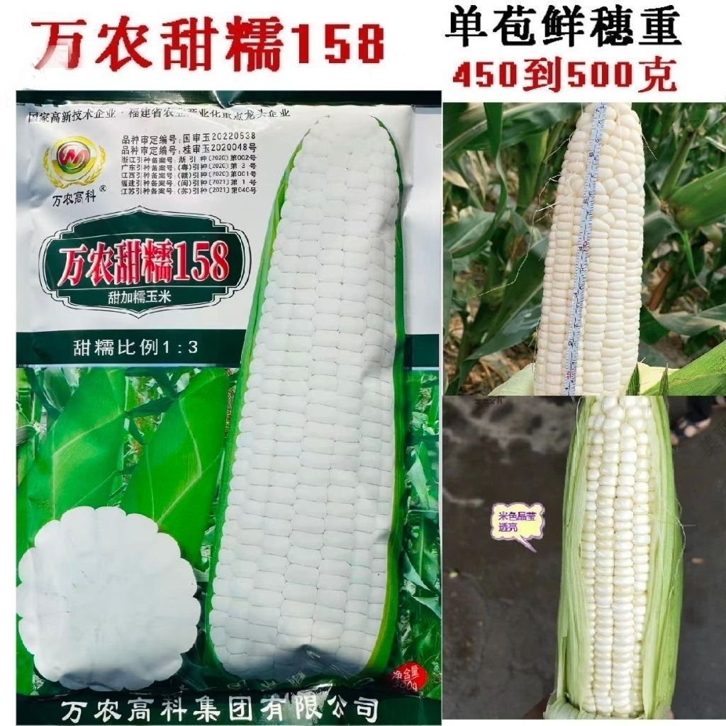万农甜糯158玉米种子大棒甜加糯玉米种籽鲜食早熟矮杆玉米种高产