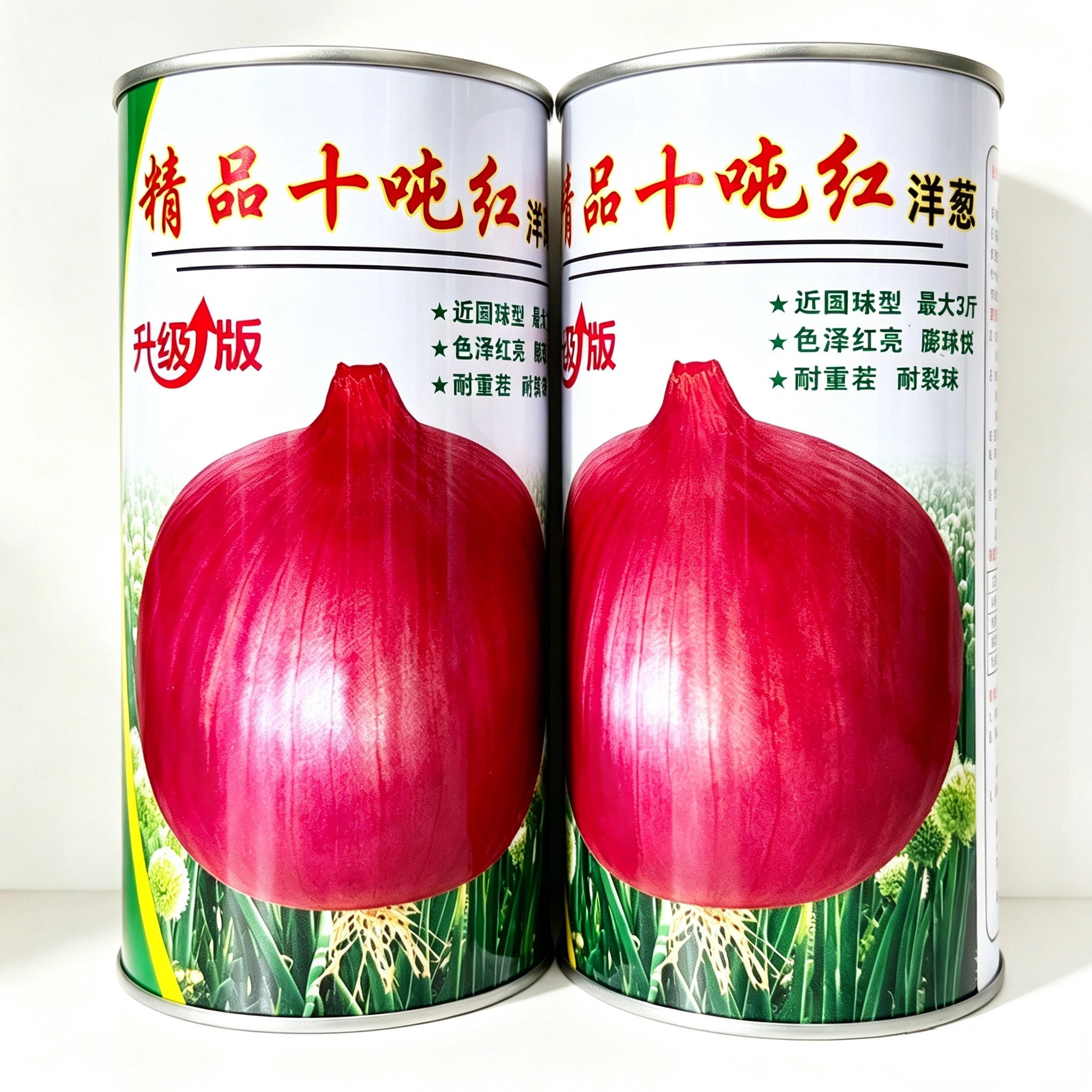 精品十吨红洋葱种子抗病膨球快抗重茬耐储运耐裂球大果型洋葱种籽
