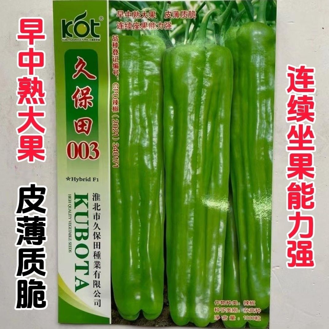 久保田003特大果薄皮辣椒种子 早中熟微辣口感好脆皮椒种籽产量高