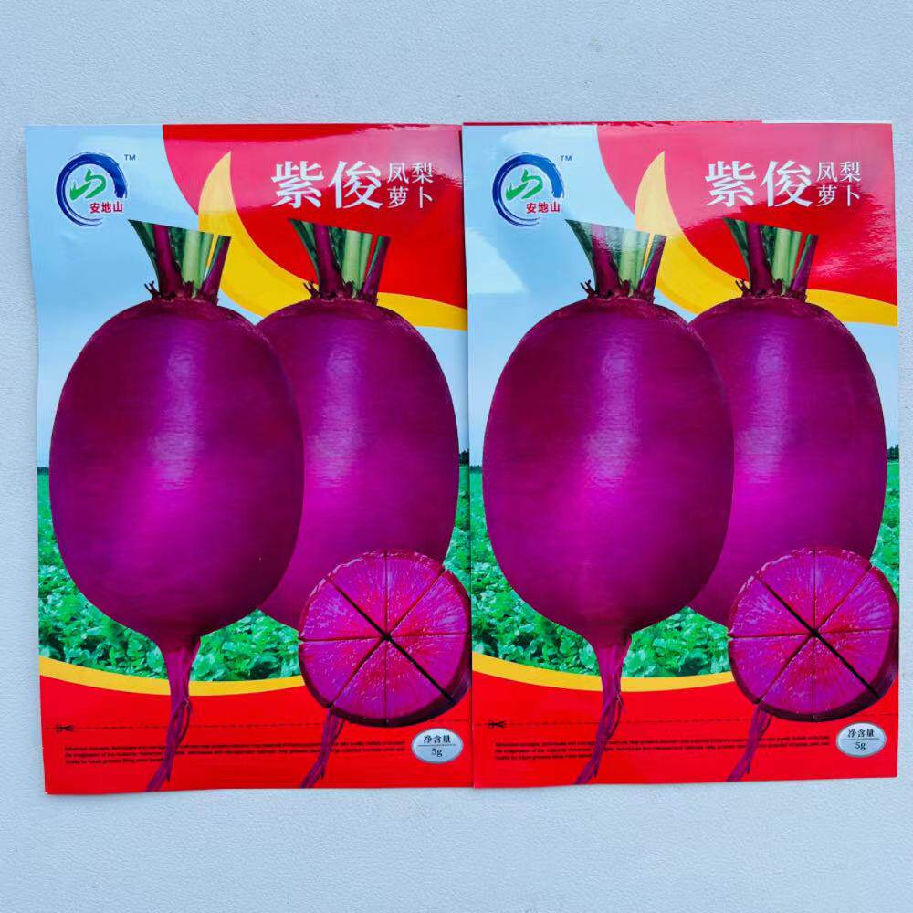 安地山紫俊凤梨萝卜种子紫皮紫肉细密多汁口感好水果萝卜种籽种孑
