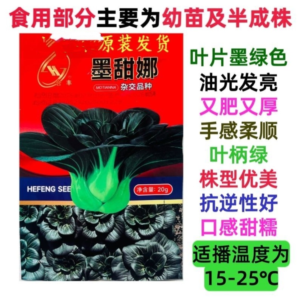 墨甜娜青菜种子黑大头矮脚苏州青杂交青梗菜黑叶青菜种籽耐寒