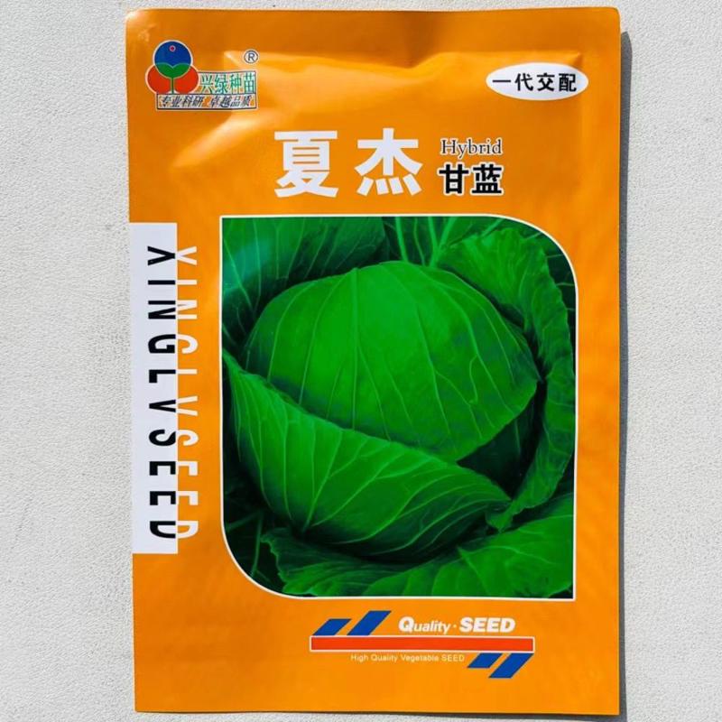 夏杰耐热绿甘蓝种子夏季播种包心菜菜籽
