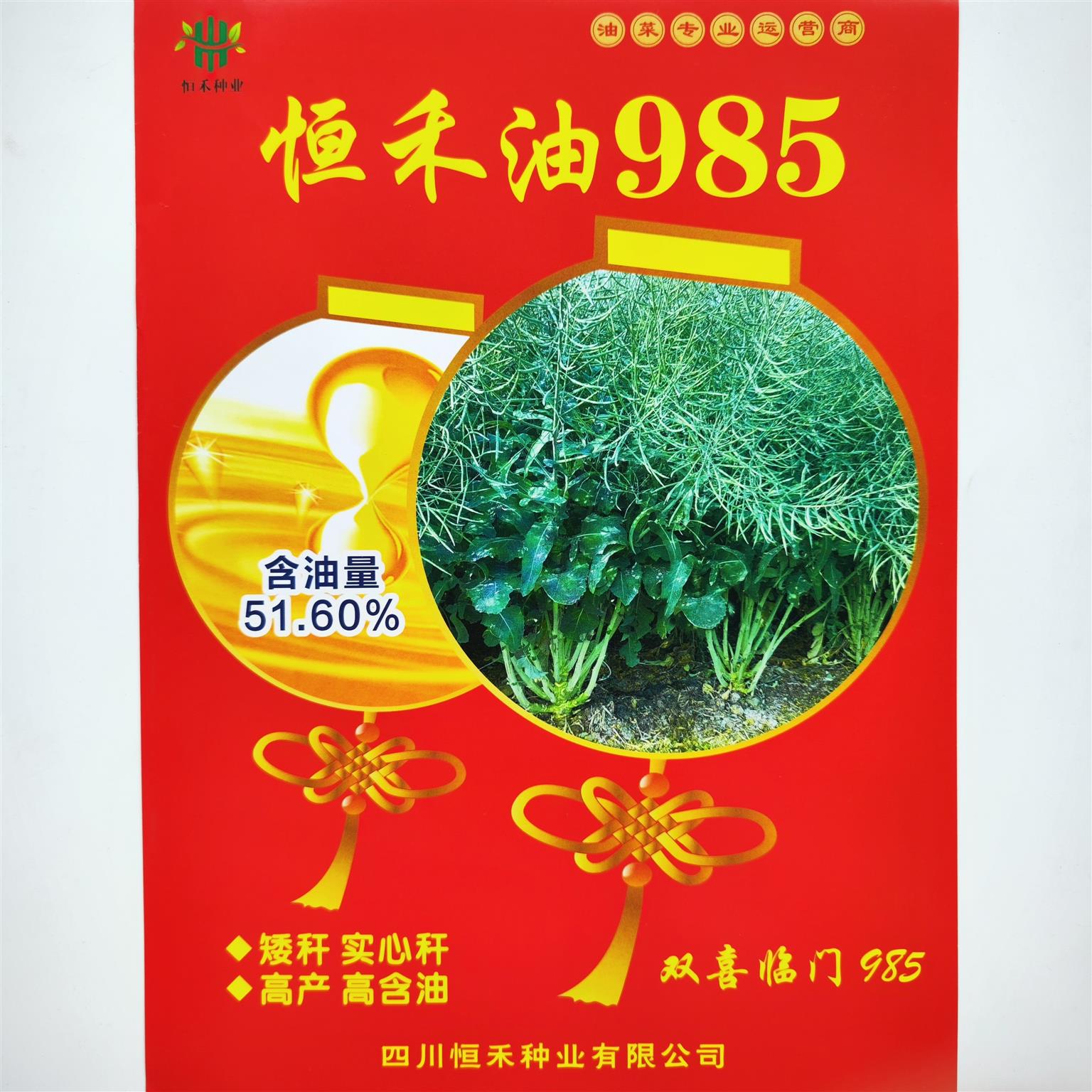 恒禾油985 油菜种子高产早熟矮杆实心耐寒抗倒伏适广性强大田种孑