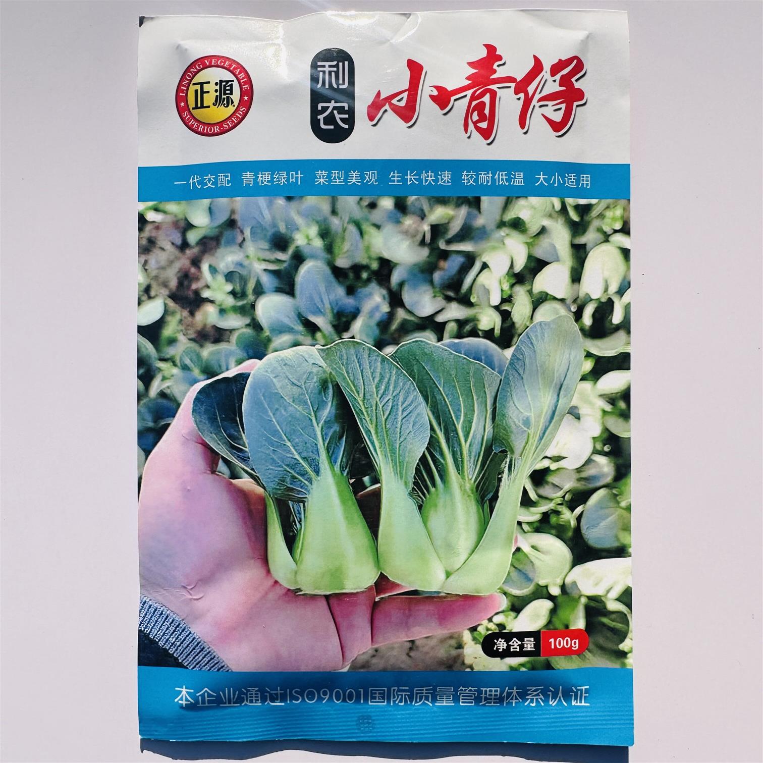 广东和小青仔种子四季矮椒小颗上海青青菜种子靓仔小青菜种子