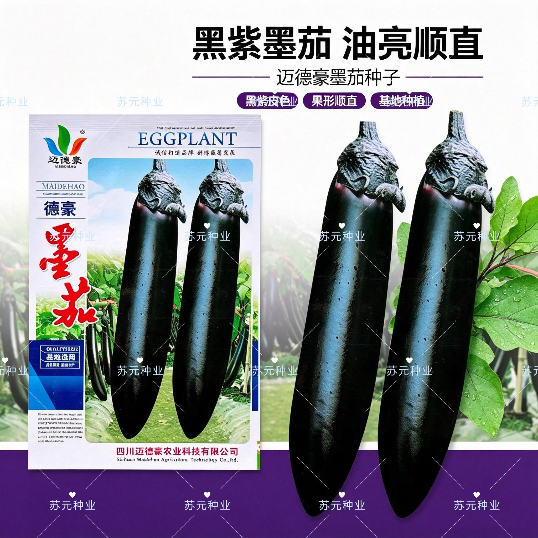 德豪墨茄种子紫黑茄子种子中早熟抗性强味微甜薄皮籽少紫黑茄子种