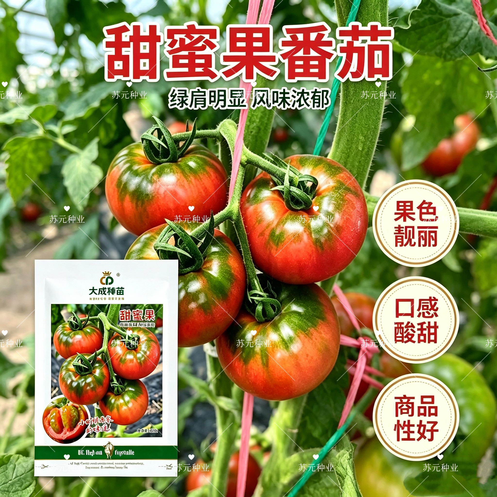 甜蜜果高端口感番茄种子大果草莓番茄酸甜爽口铁皮柿子西红柿种籽