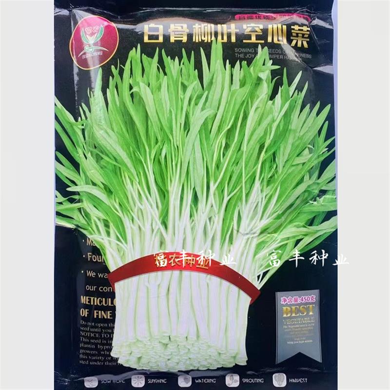 白骨柳叶空心菜种子早熟耐热耐湿白杆柳叶空心菜白梗通心菜种子