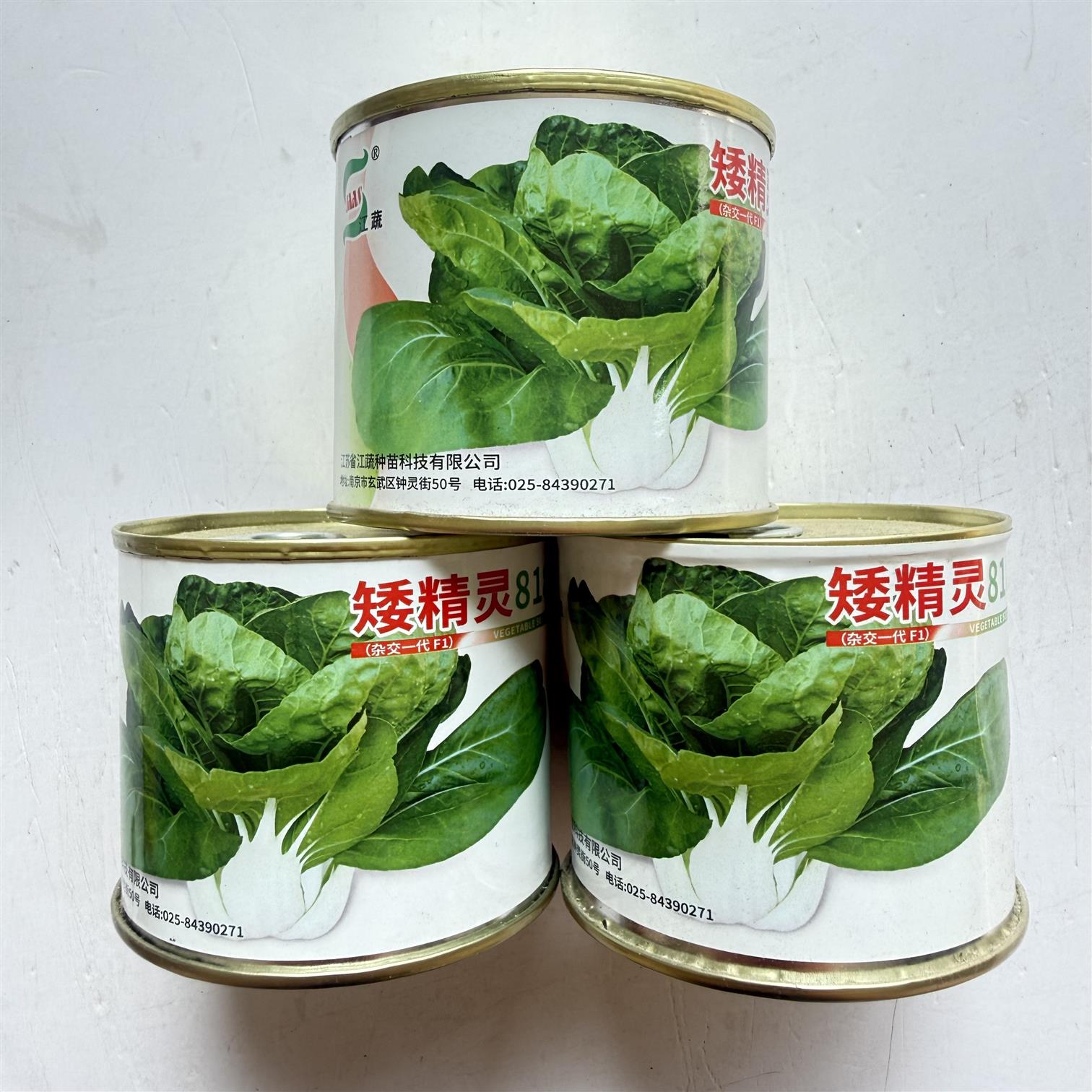 矮精灵818矮脚黄菜种籽高产耐热耐湿南京兔子腿白梗矮颗小白菜种