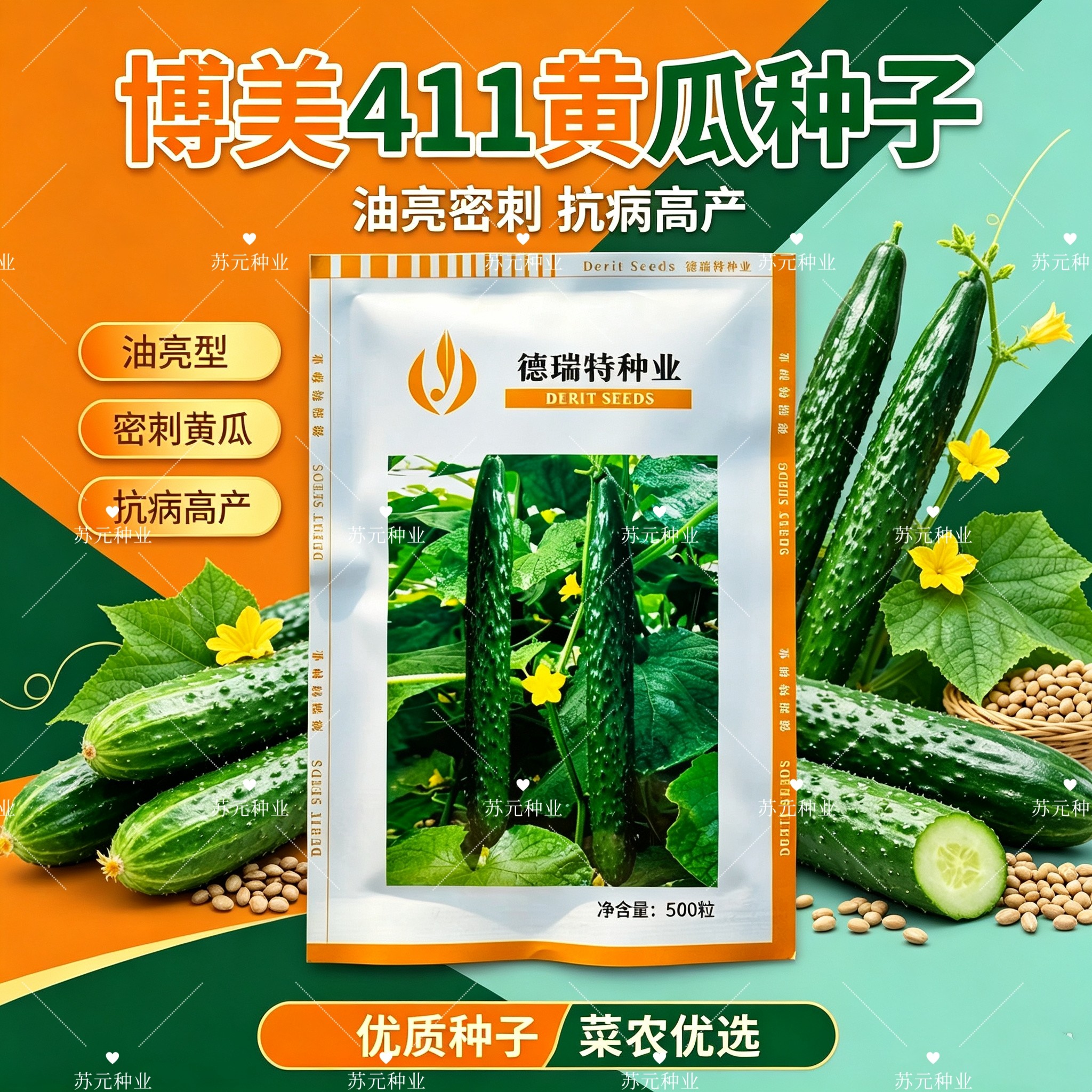 天津德瑞特博美411黄瓜种子墨绿油亮腔小果肉绿青皮青肉黄瓜种子