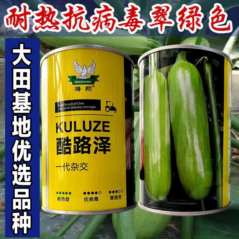 酷路泽西葫芦种子 新一代高产耐寒早熟青瓜种籽 菜园农家蔬菜种孑