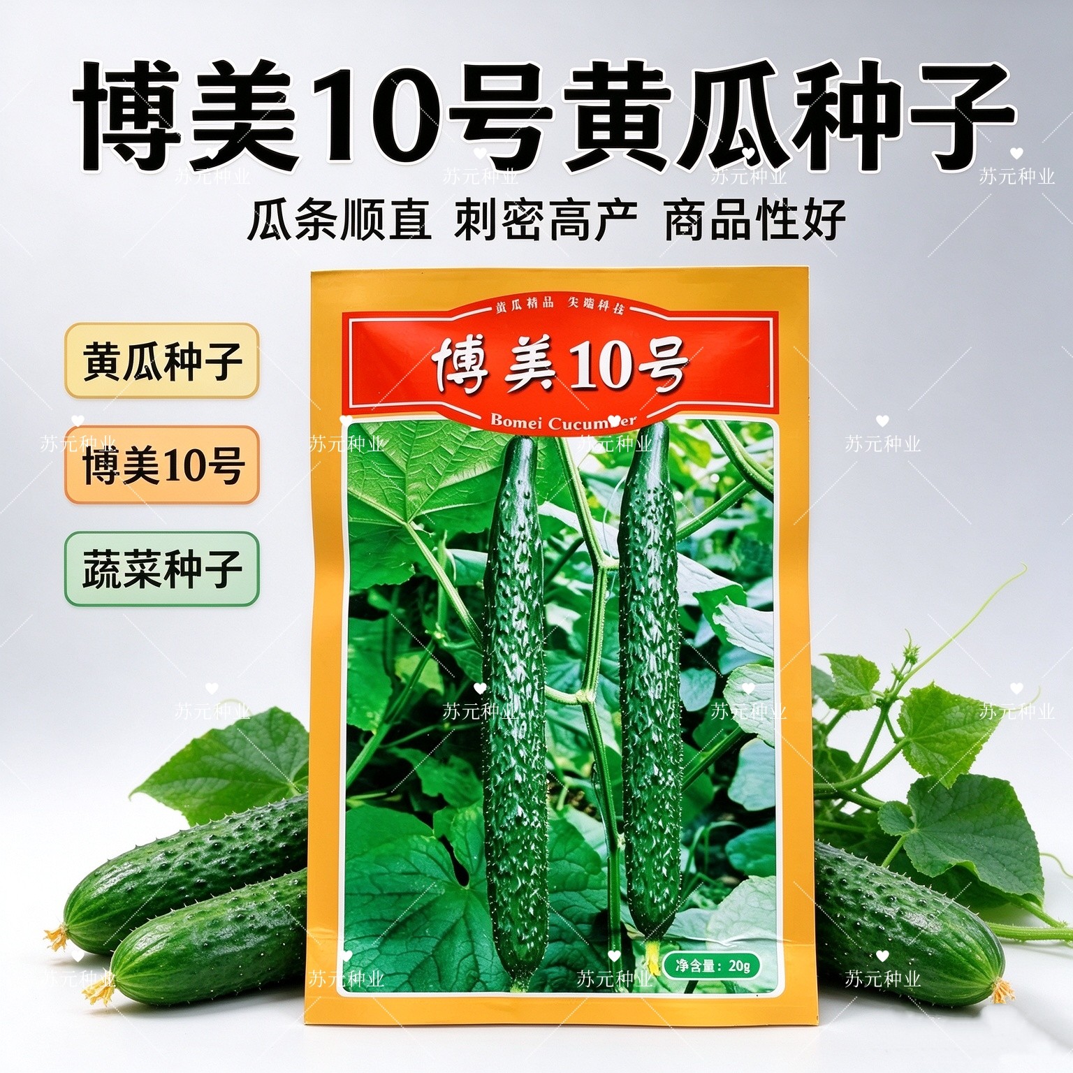 德瑞特博美10号黄瓜种子绿油亮黄瓜种籽抗病春季秋季播黄瓜种籽孑