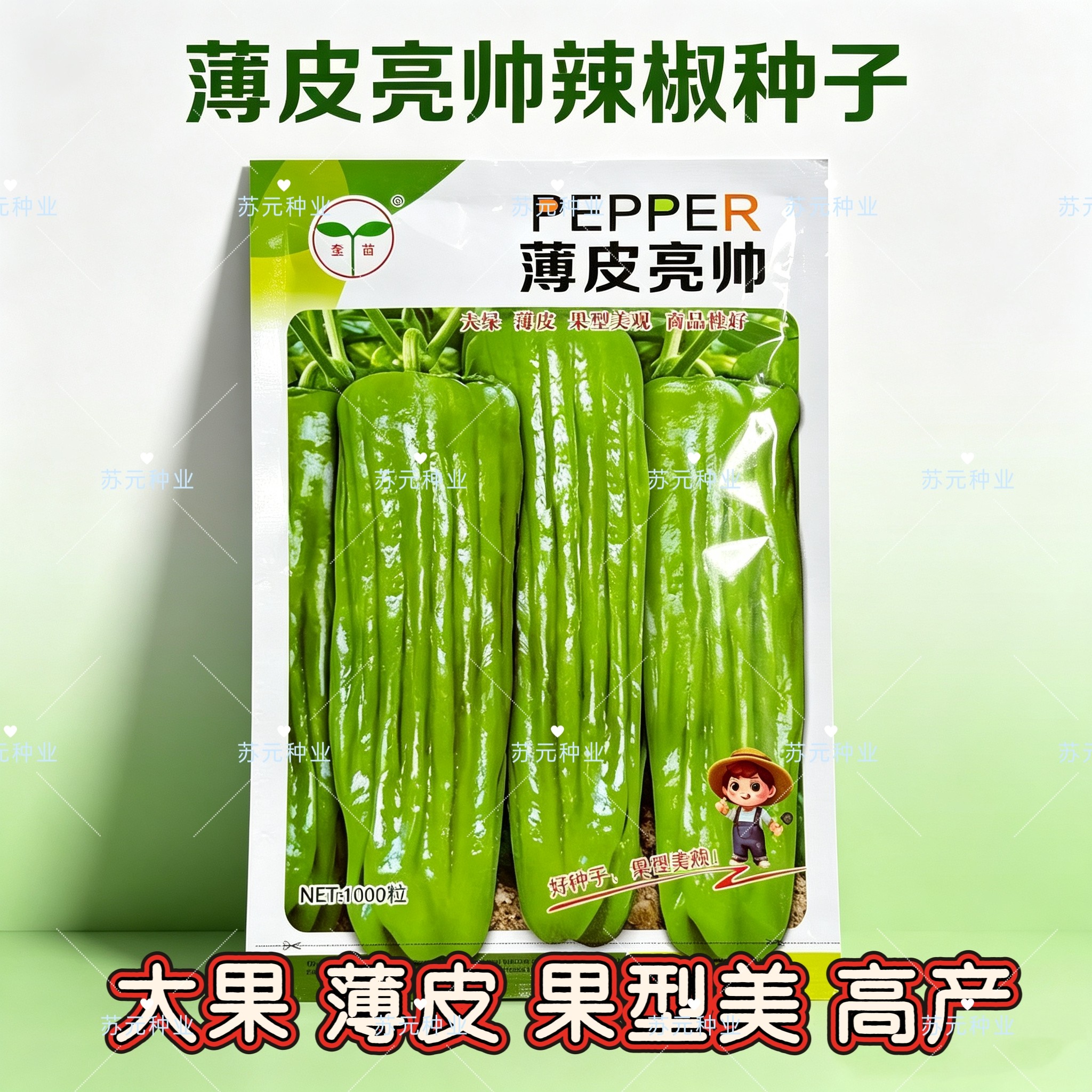 薄皮亮帅辣椒种子早熟大果微辣菜椒种籽春秋播泡椒蔬菜种长灯笼型