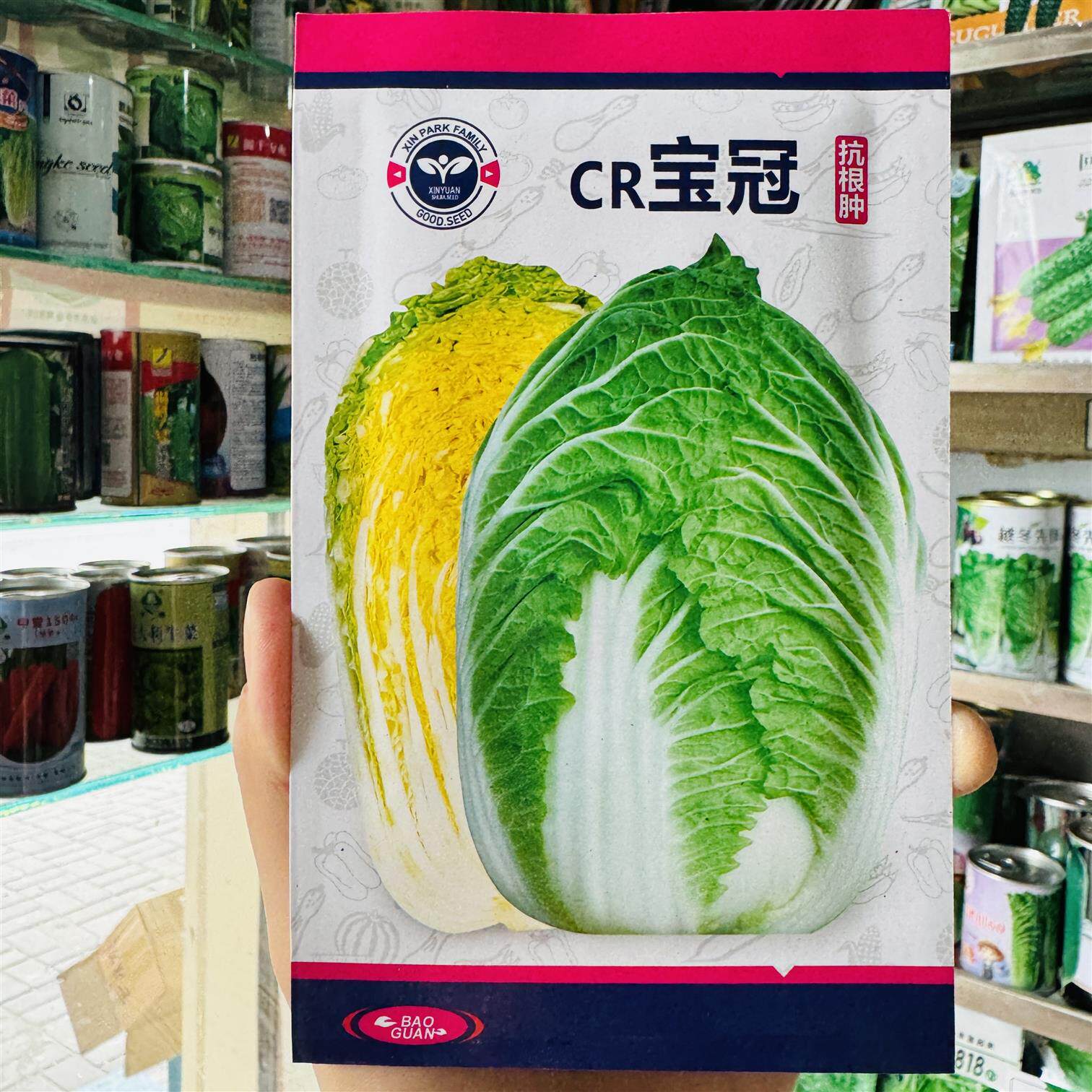 CR宝冠黄心大白菜抗根肿病耐寒性好耐热耐寒农家菜园种植蔬菜种子