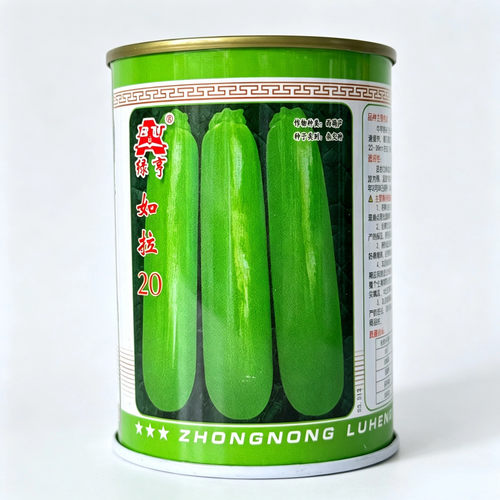 如拉20西葫芦种子中早熟长条绿皮耐寒越冬大棚高产蔬菜种籽子