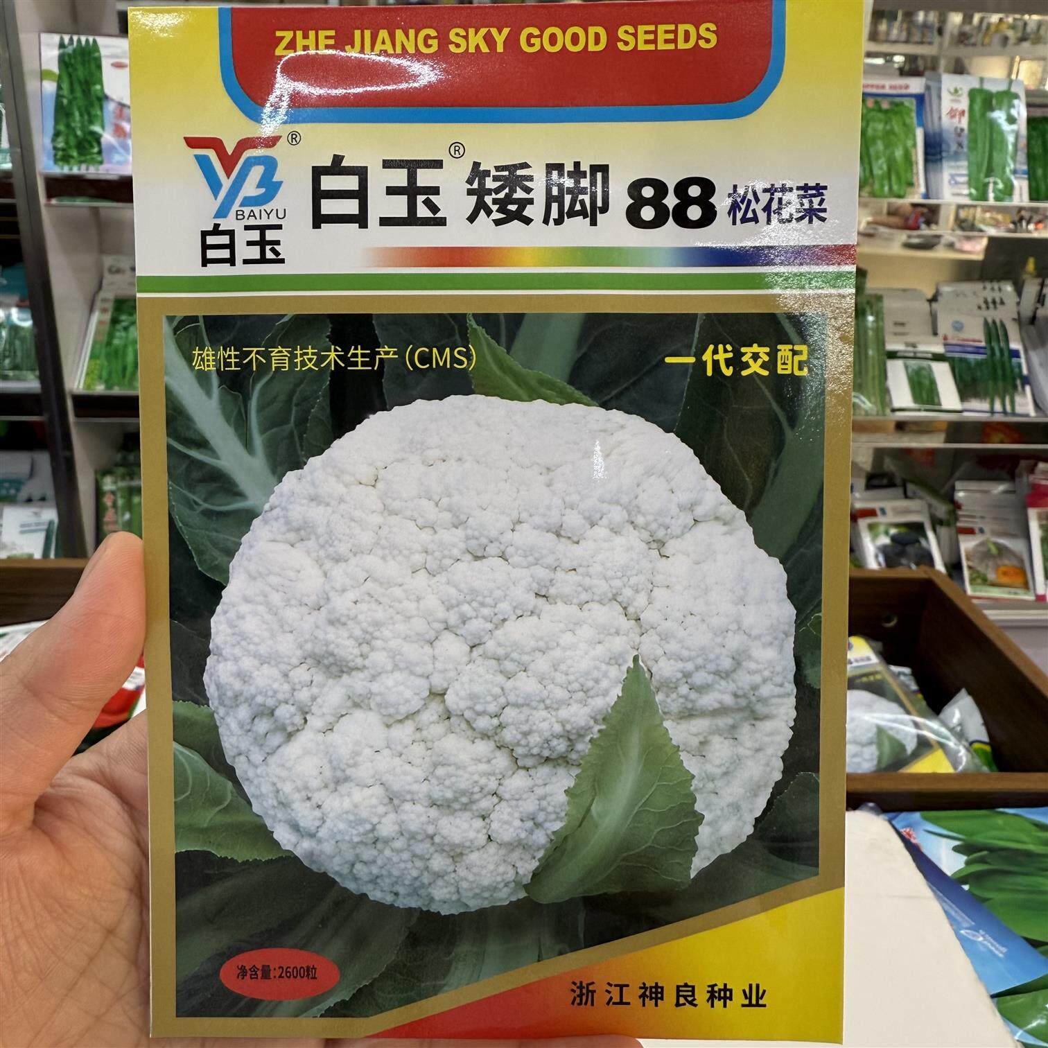 白玉矮脚88松花菜种子高产抗病耐热耐寒农家菜园种植蔬菜青菜种子