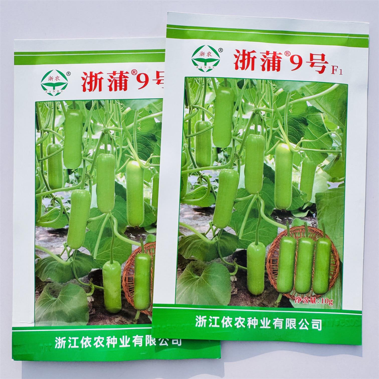 浙浦9号瓠瓜种子早熟杂交一代瓜皮绿色短棒型蒲瓜种子产量高