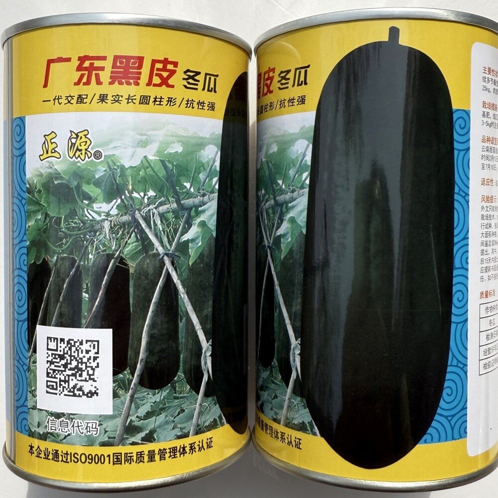 广东黑皮冬瓜种子抗病耐贮运南北方农家大田春秋季播蔬菜种籽