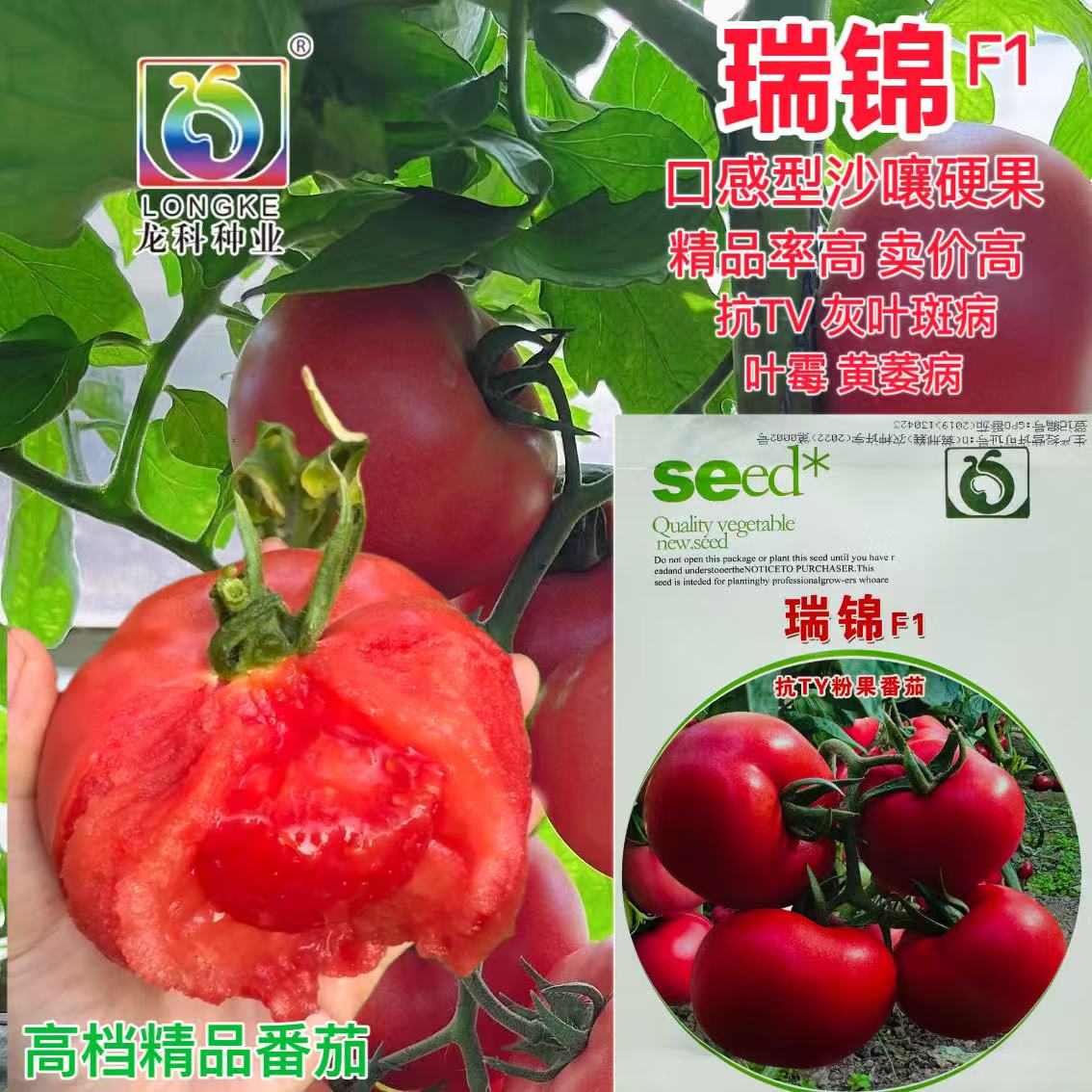 瑞锦番茄种子无限生长型粉色西红柿抗TY病抗高温硬果四季高产特粉