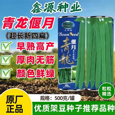 青龙偃月四扁豆角种子早熟宽扁肉厚无纤维扁春秋种植四扁架豆种子