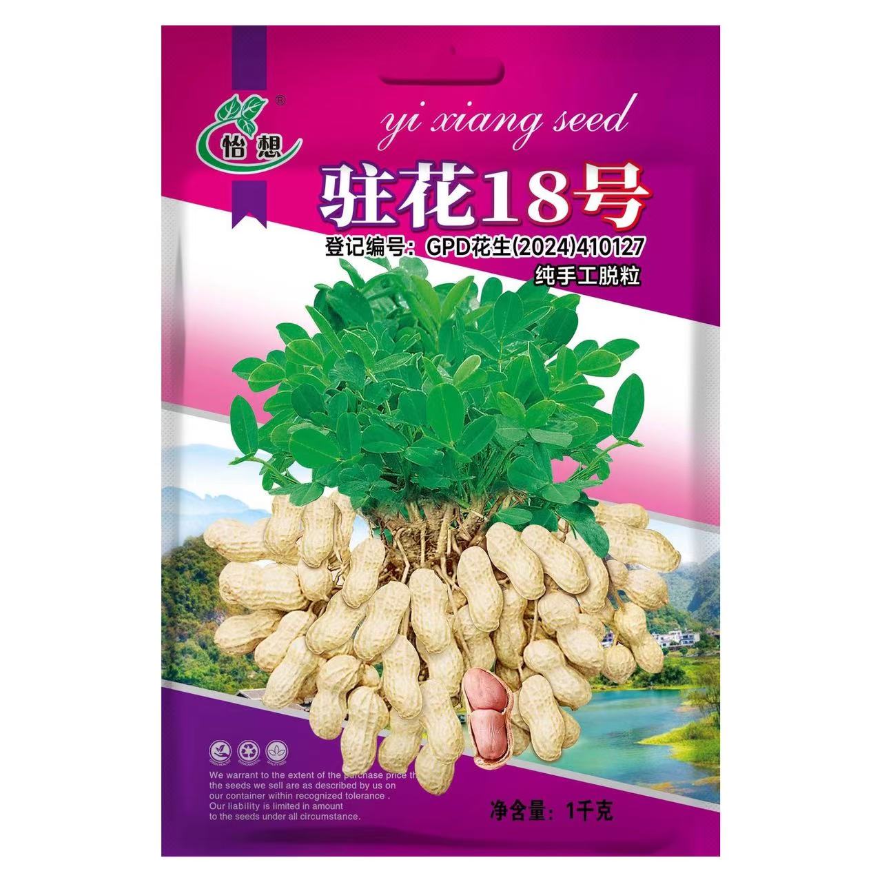 驻花18号高产原种花生种子早熟大粒薄壳油食兼用型基地春夏播种籽