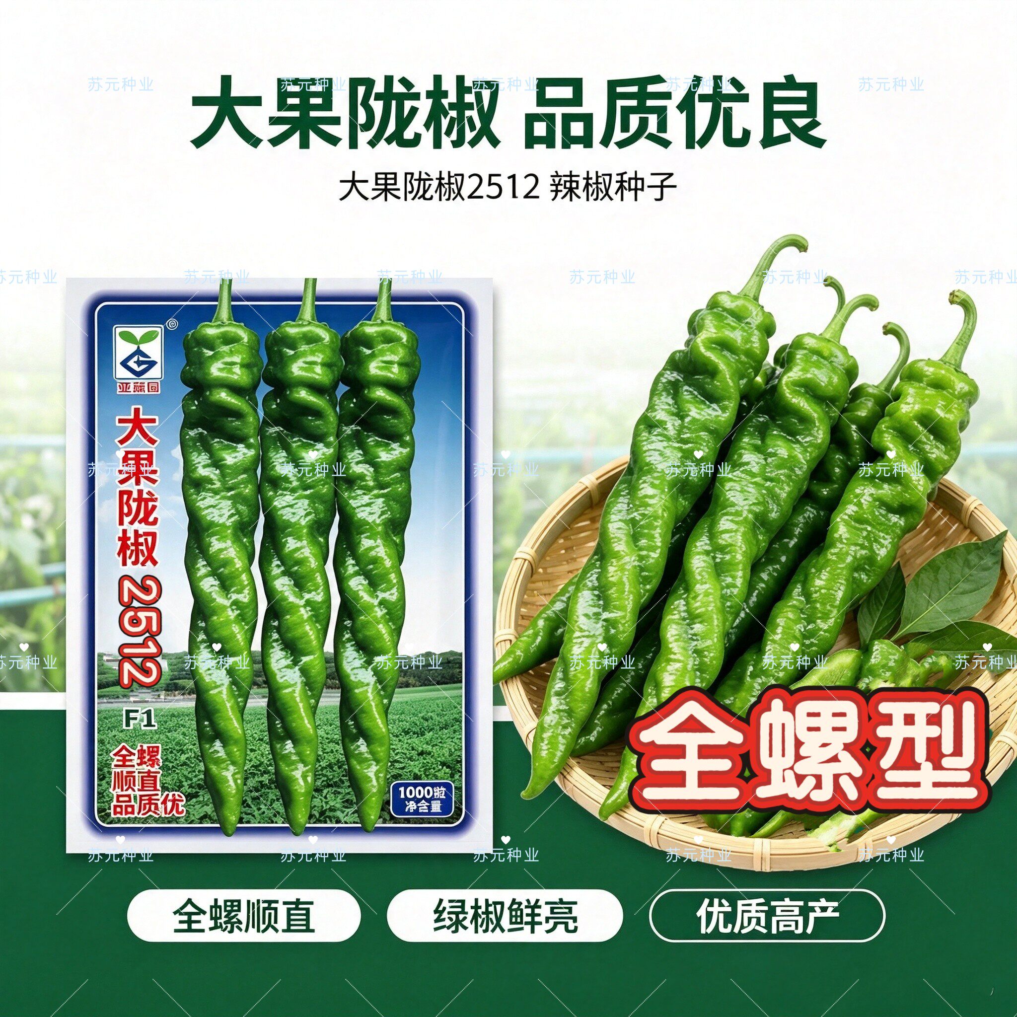 大果陇椒2515全螺型螺丝椒种子早熟抗病高产皮薄肉厚椒条顺直味浓