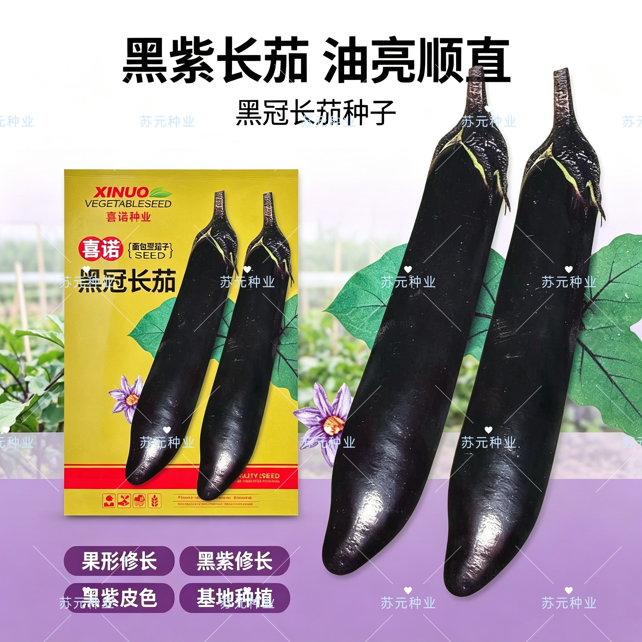 喜诺黑冠长茄种子黑亮有光泽高产黑长茄种籽田园盆栽阳台蔬菜种子