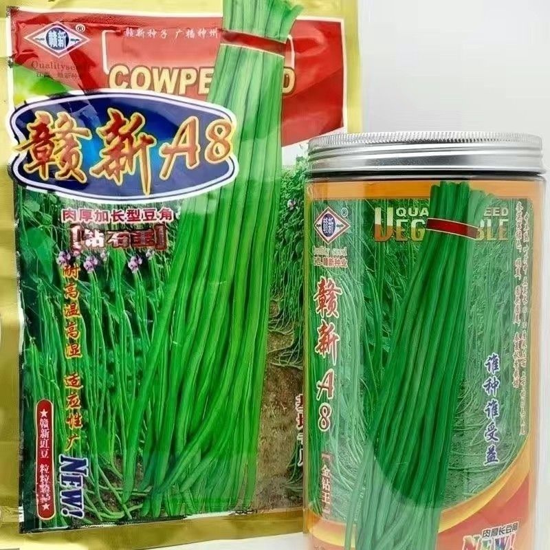 赣新A8翠绿长豇豆种子金钻肉厚高产抗病特长豇豆耐热春秋豆角种籽