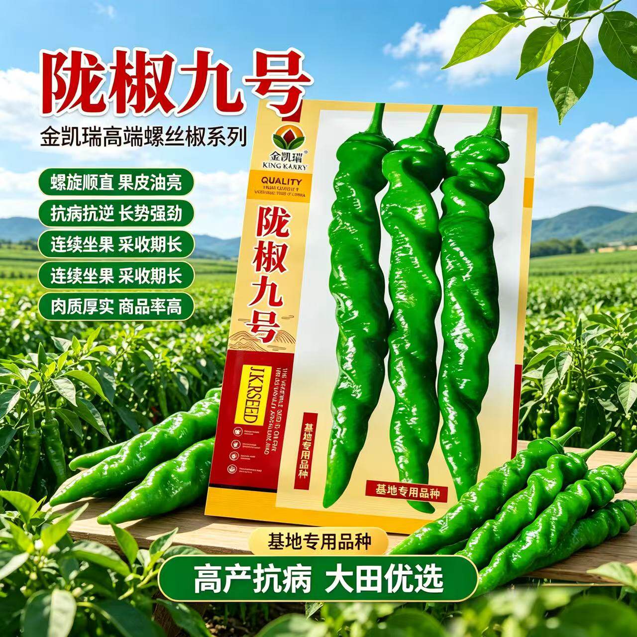 特大陇椒九号巨型极美高产螺丝椒辣椒种子早熟薄皮大田四季辣椒籽