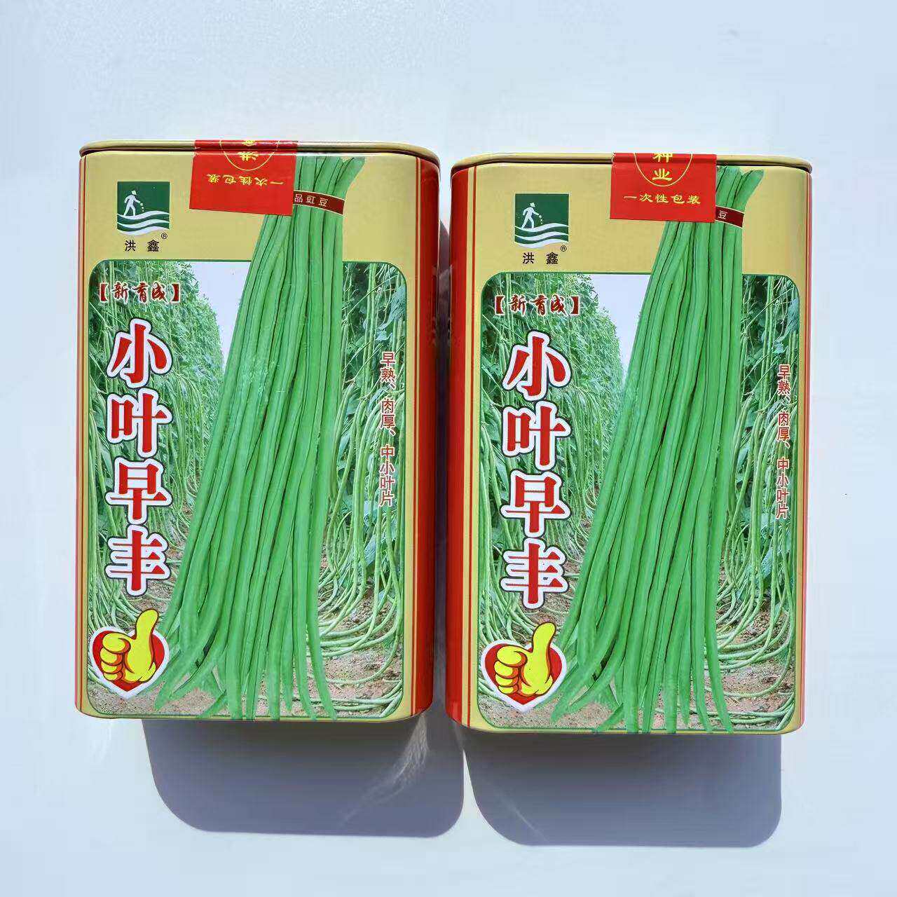 洪鑫小叶早丰豇豆种子早熟不早衰中小叶片荚色嫩绿肉质厚长豆角种