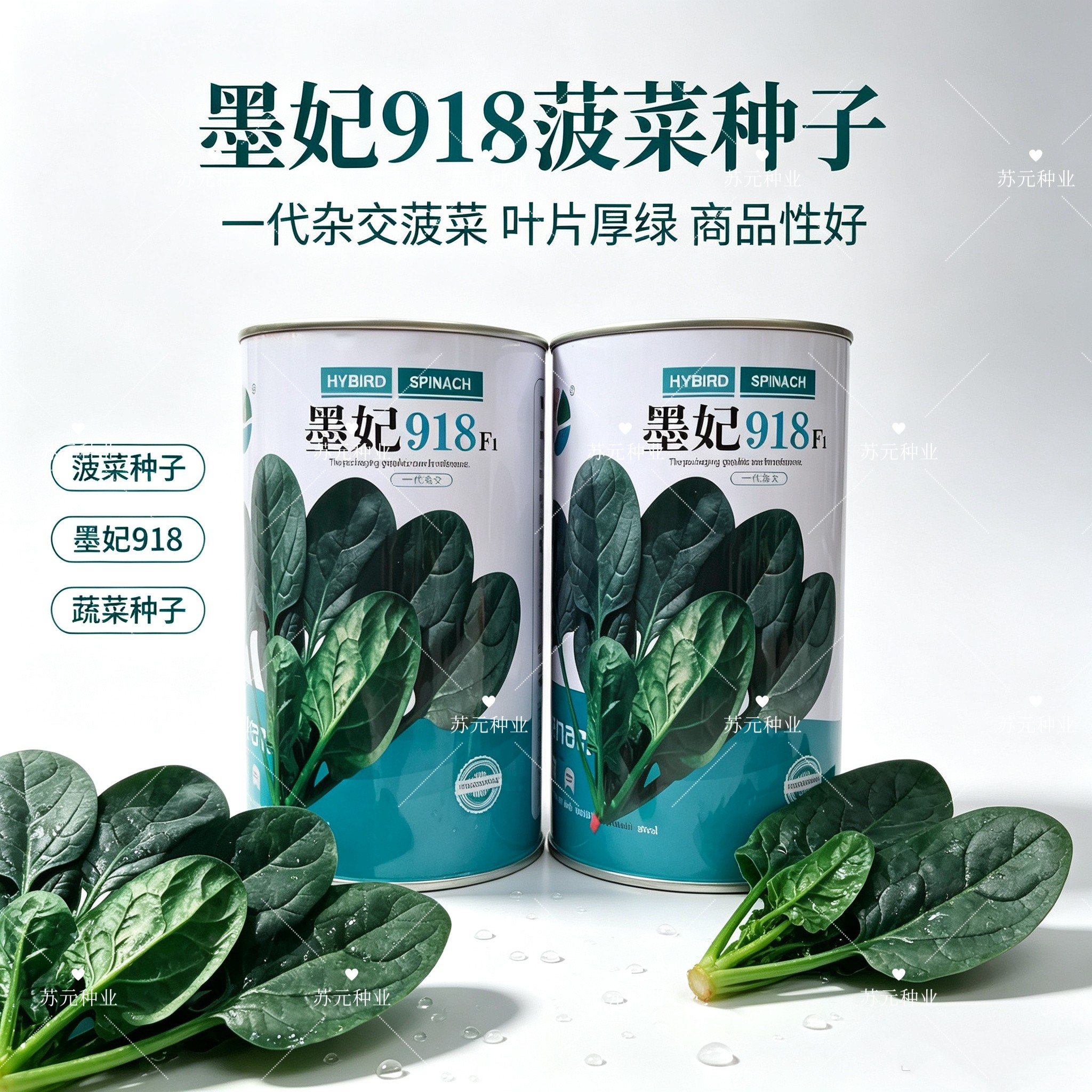 盈优墨妃918菠菜种子墨绿油亮高产抗病农家春秋播种优选菠菜种