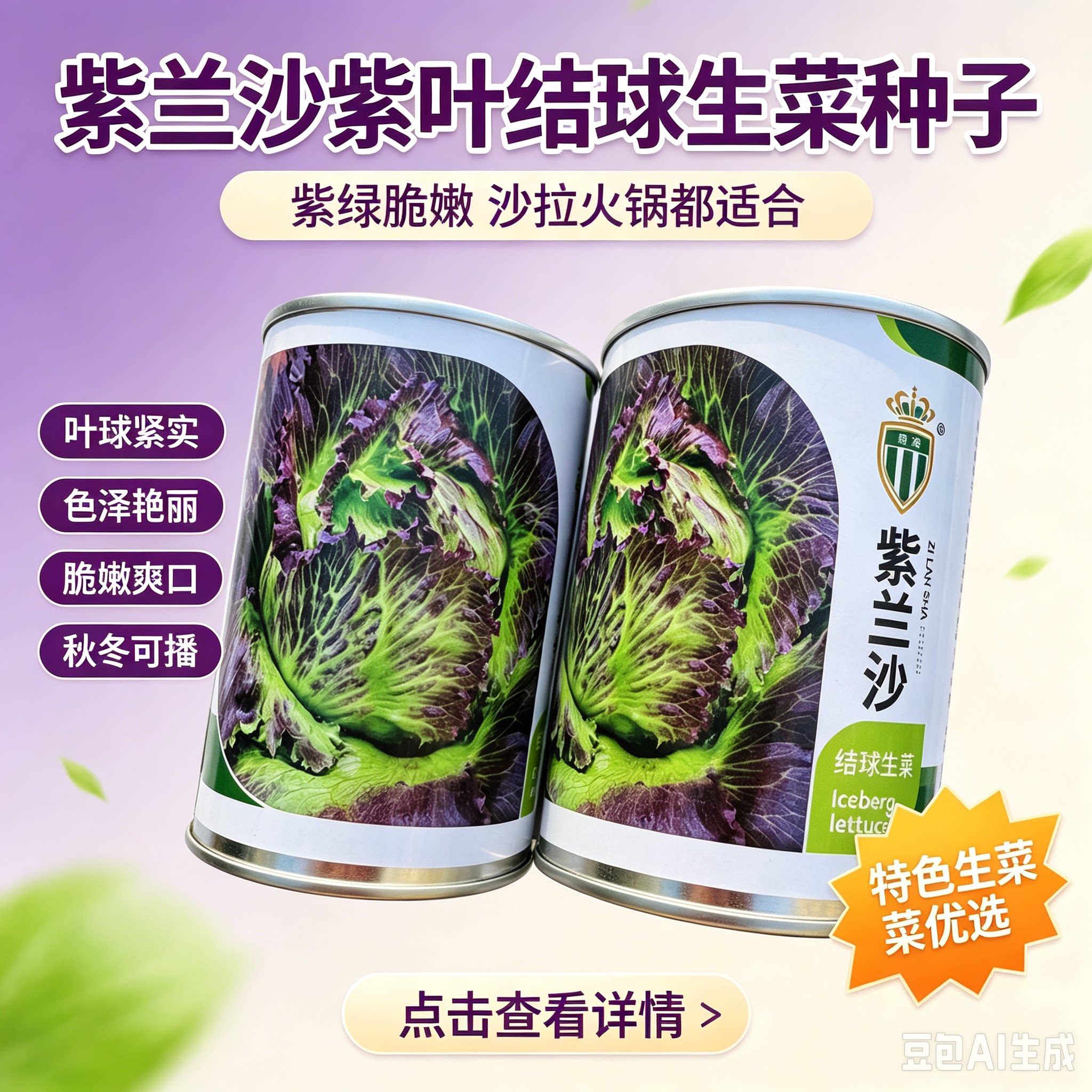 紫兰沙紫叶结球生菜种子 紫绿脆嫩高花青素 秋冬沙拉生食蔬菜种籽