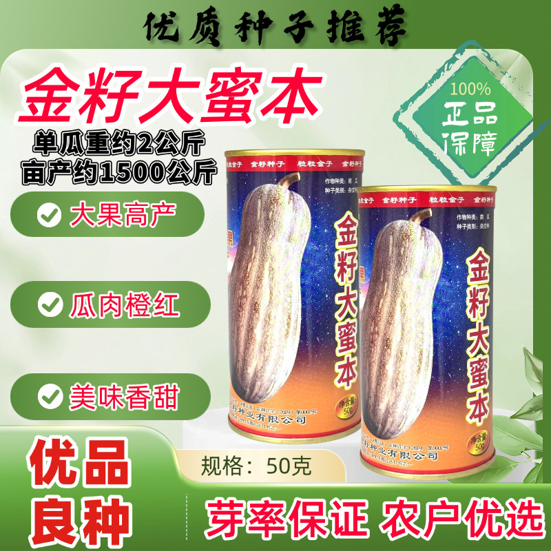 金籽大蜜本南瓜种子早熟高产抗病耐热耐寒春秋播南瓜种籽蔬菜种孑