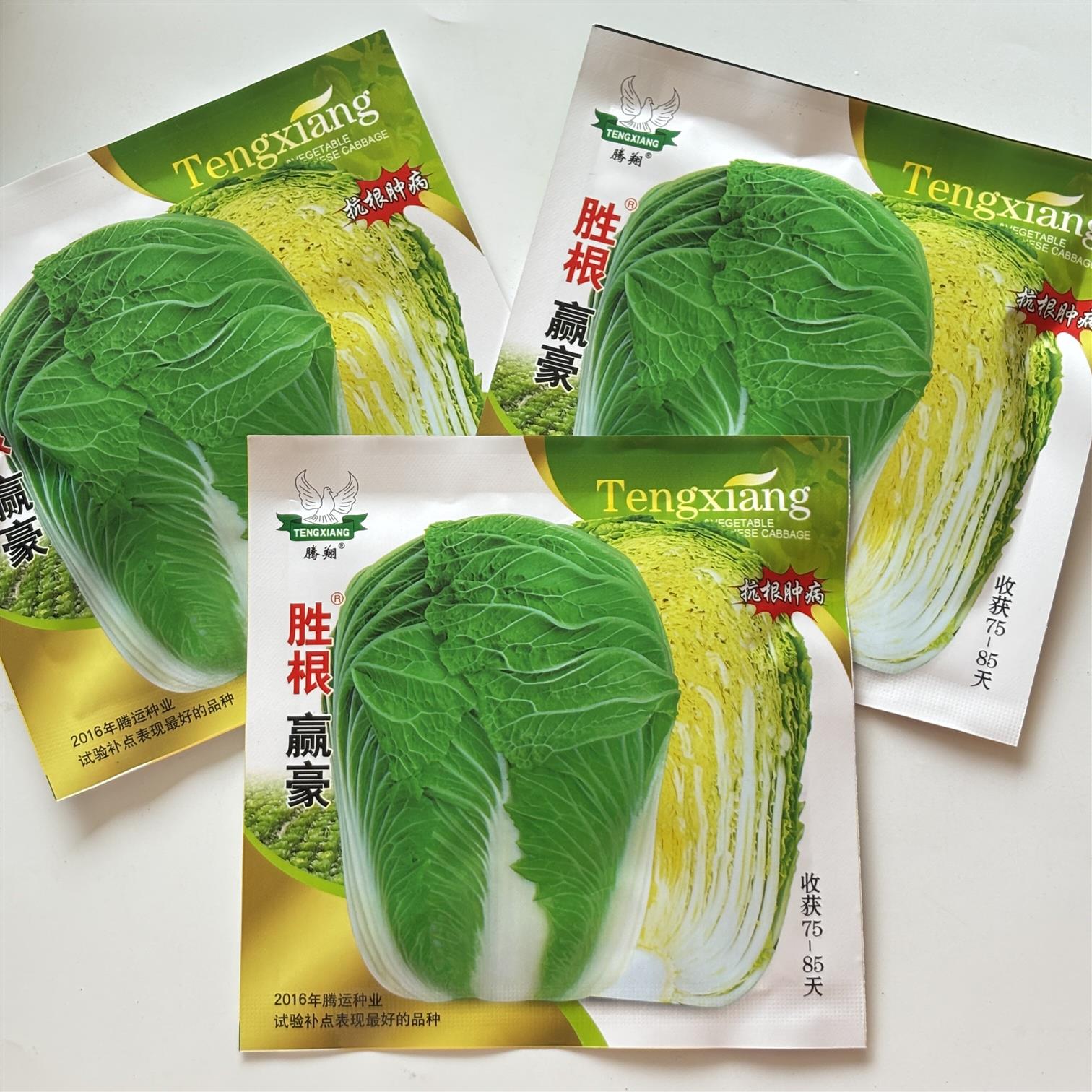 胜根赢豪大白菜种子鲜黄心白菜种籽高产抗根肿病耐储运秋播大白菜