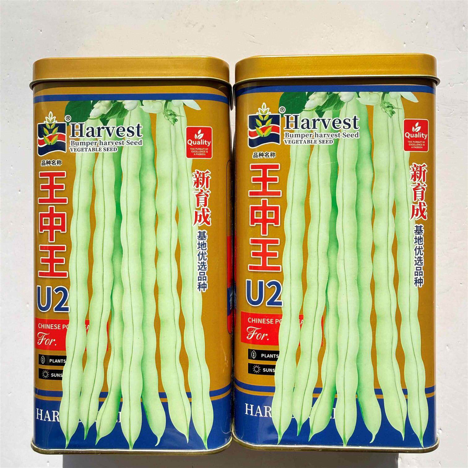 王中王U2架豆种子基地丰产豆角种籽无筋架豆王四季豆芸豆蔬菜种孑