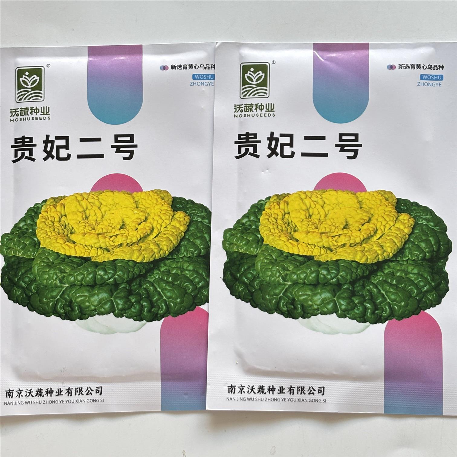 贵妃二号黄心乌塌菜种子养心菜菊花菜高钙保健耐寒四季播蔬菜种籽