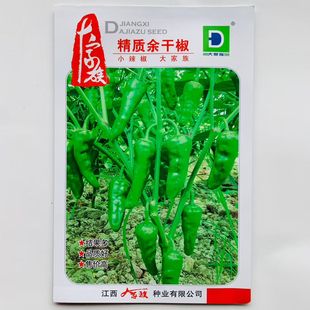 精质余干椒种子极早熟易种植采收期长结果多皮薄味辣春秋播