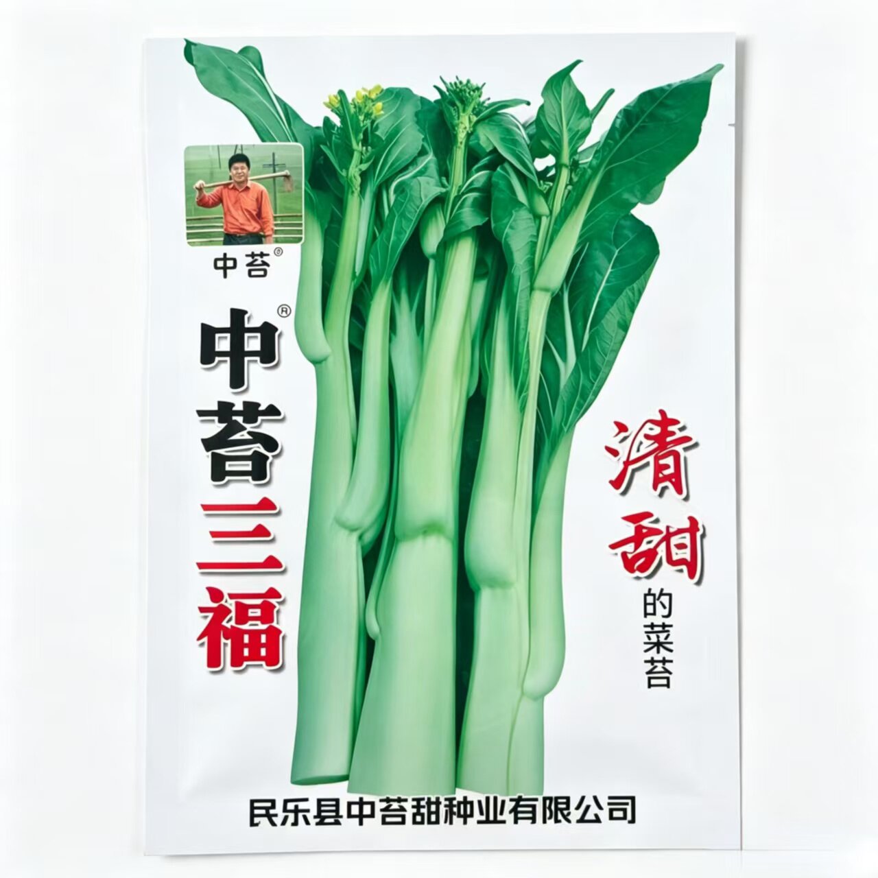 中苔三福菜苔种子清甜脆嫩颜色鲜亮直播青菜苔不易空心蔬菜种籽子