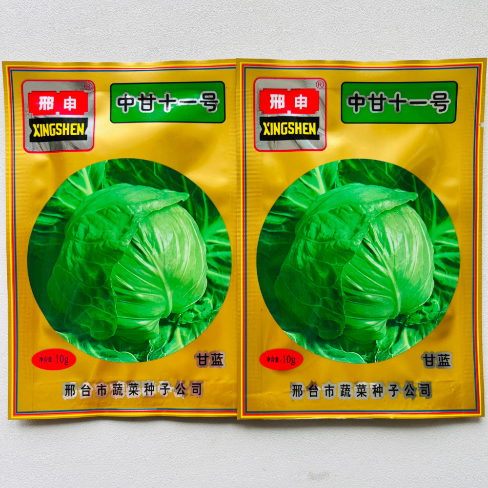 中甘十一绿甘蓝种子结球卷心菜大头包心菜50天左右收获蔬菜籽