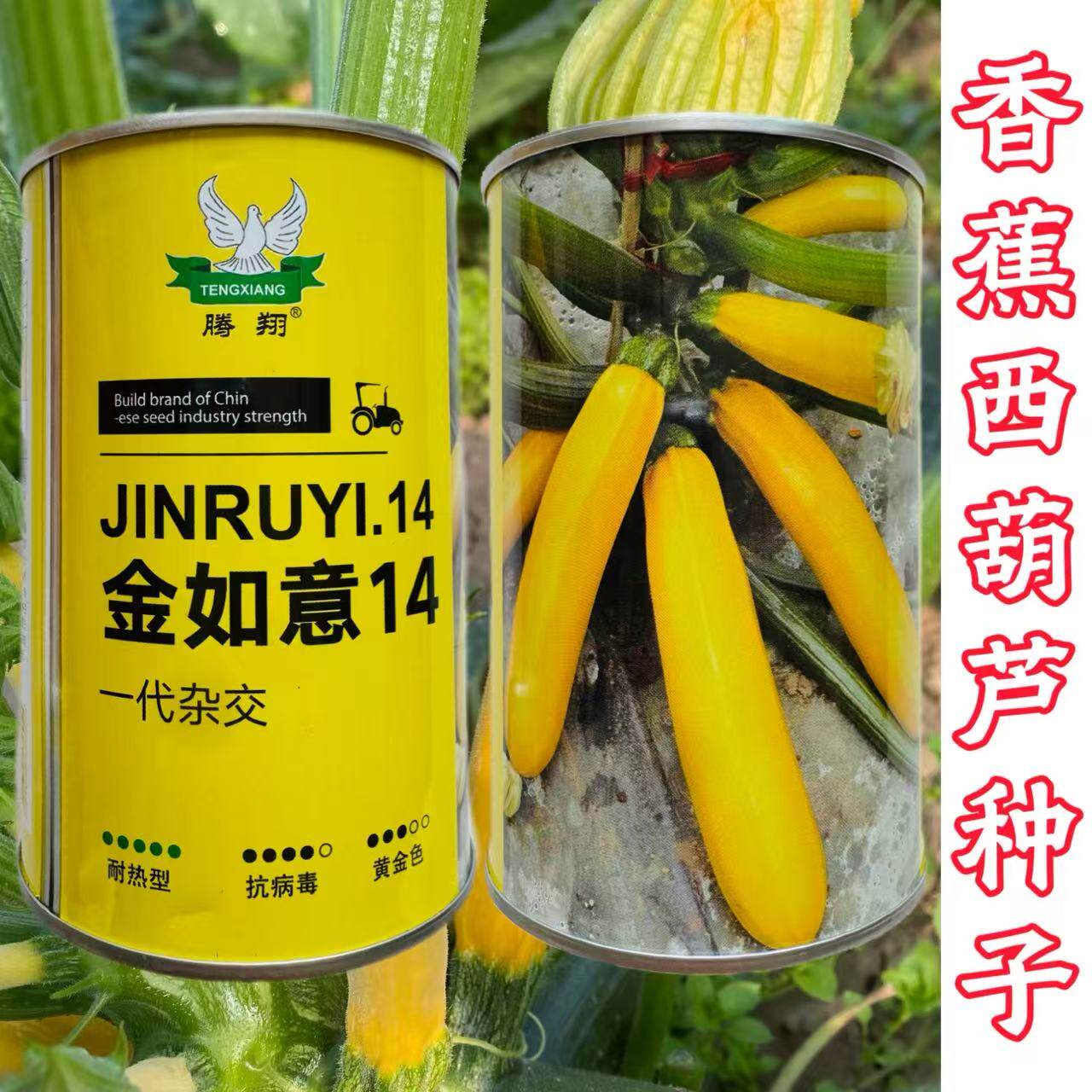 金如意14西葫芦种子 早熟香蕉西葫芦种籽 菜园农家生菜水果蔬菜孑
