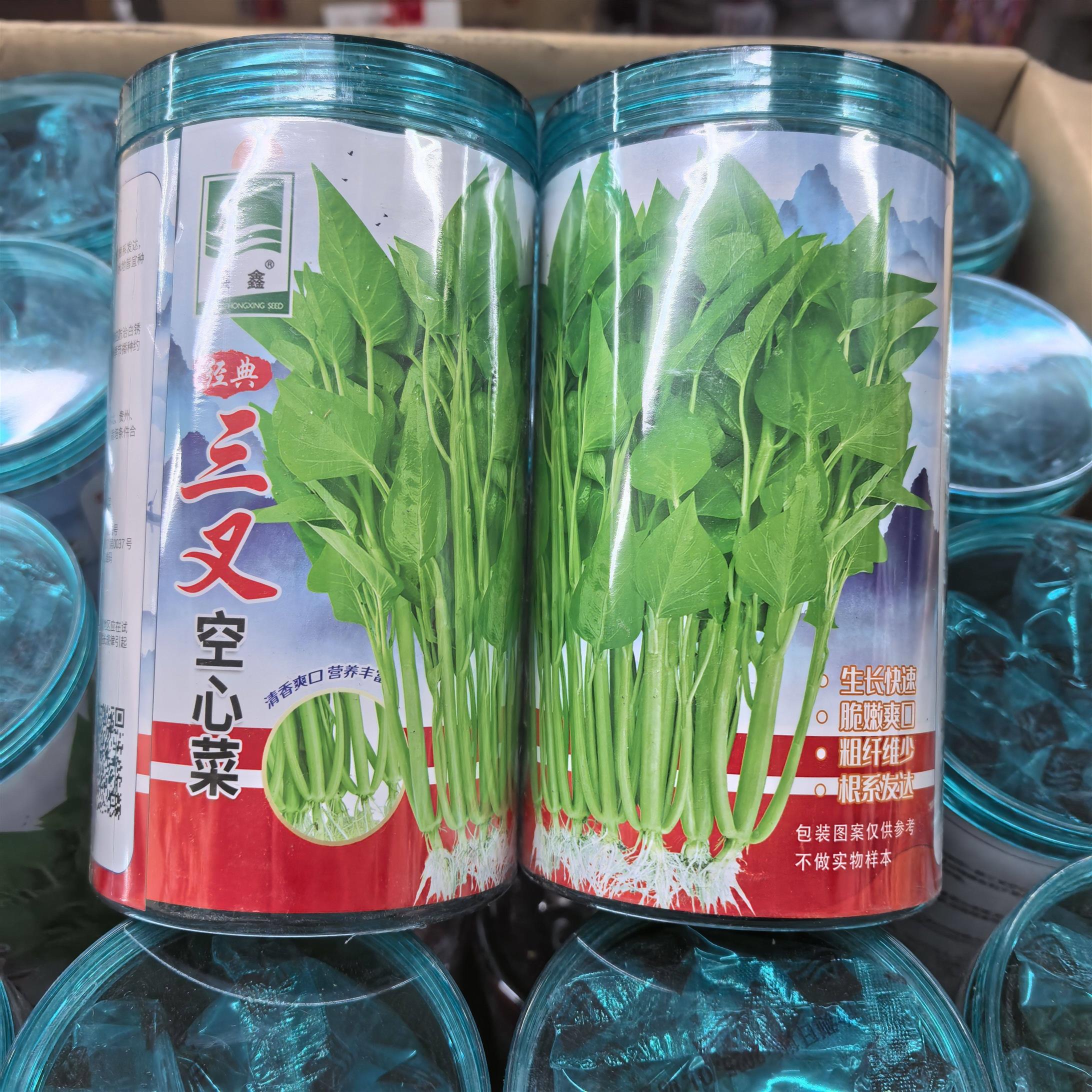 洪鑫进口三叉空心菜种子通心菜种籽高产抗病耐热春夏秋播蔬菜种孑