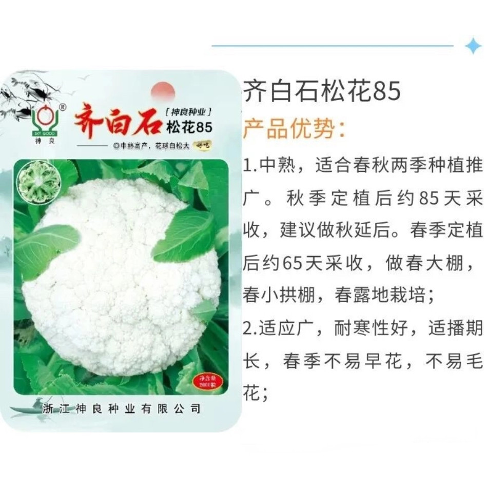 神良种业齐白石松花85天青梗松花菜种子2000粒大花球雪白春秋播种