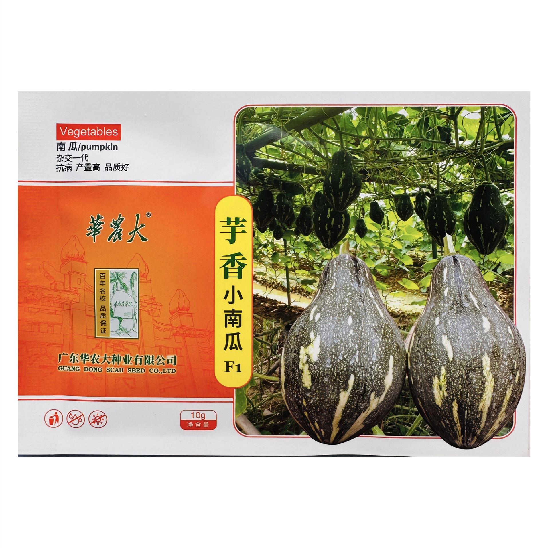 香芋南瓜种子芋香小南瓜种子一代杂交果肉金黄榄核形南瓜