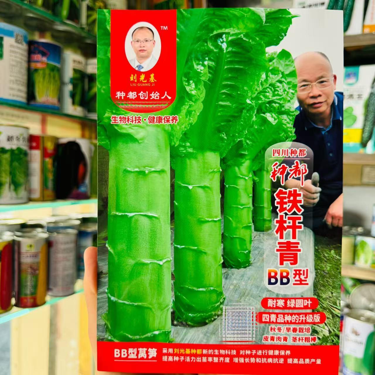 种都铁杆青BB型青皮绿肉香莴笋种子高产耐热耐寒基地蔬菜种子包邮
