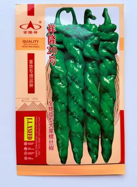 祥隆20号早熟杂交螺丝椒种子果实翠绿色光泽度好旋转美观辣味浓香