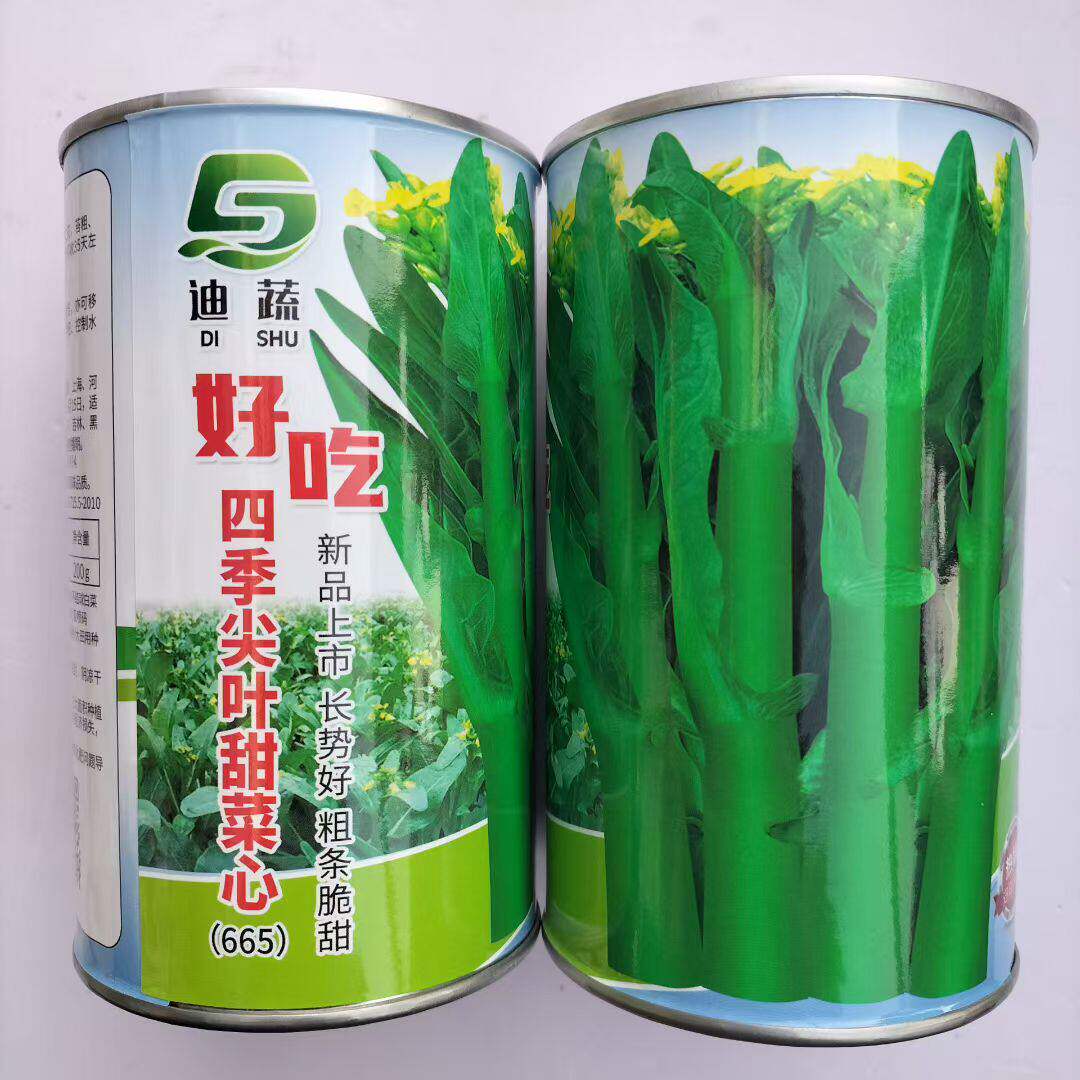四季尖叶甜菜心种子农家春秋季油青菜苔种籽纤维少味清甜蔬菜种孑