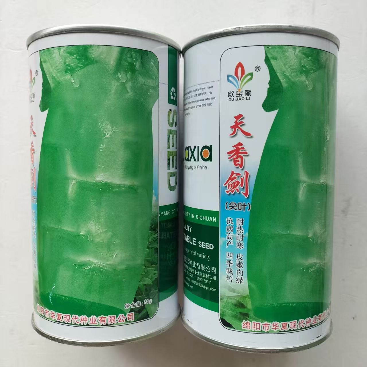 天香剑30g耐热莴笋种子孑籽杂交高产大尖叶蔬菜香浅绿青皮浅绿肉