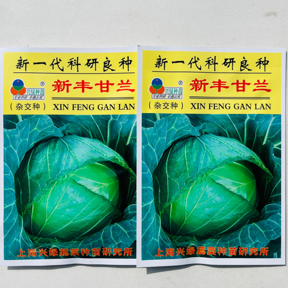新丰甘兰种子杂交中熟扁平大甘蓝种子秋季蔬菜种子耐抽苔耐裂球
