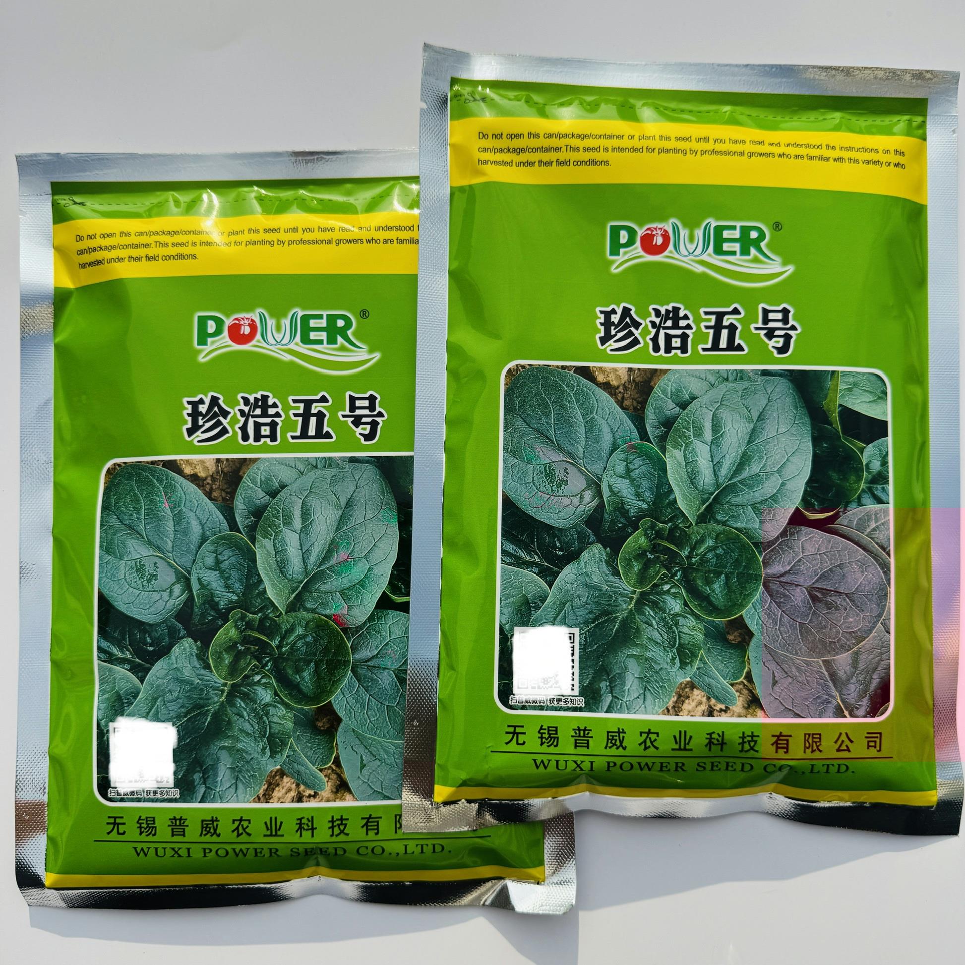 珍浩五号趴地菠菜种子大叶耐寒短梗圆叶厚叶黑绿叶菠菜种子籽
